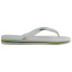 Havaianas Brasil Logo